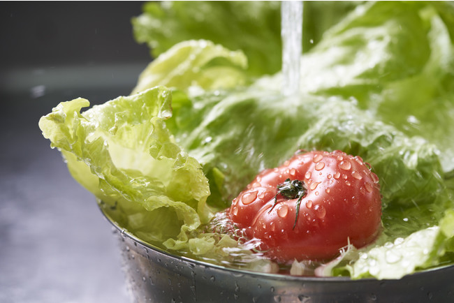 画像: 素材の鮮度にこだわった野菜たち