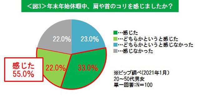 画像3: 今年は初詣や帰省を控え、お家で「寝正月」を過ごした人が多数