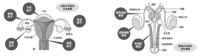 画像: 「性の悩み」を図解やイラストを使って丁寧に解説