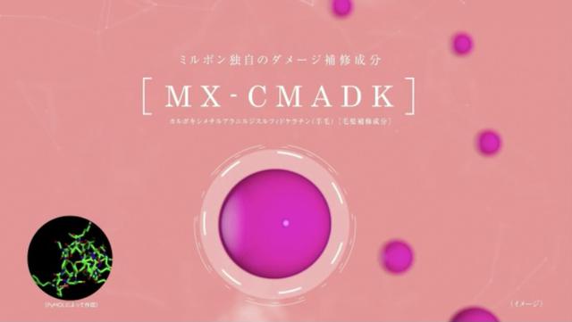 画像2: ①髪から抜けたタンパク質の補修ケア