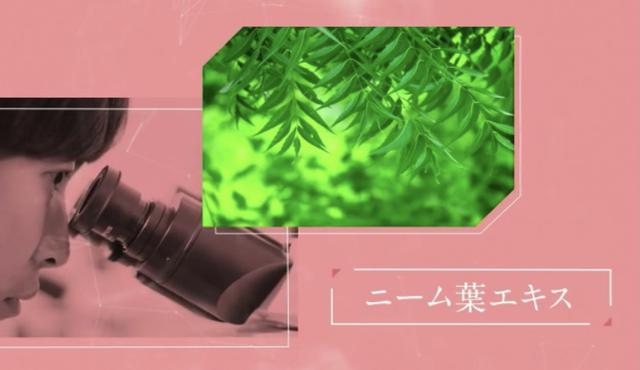 画像: 砂漠の植物では結合水が重要な役割を担い、結合水を保持する糖やポリフェノールを豊富に含むことから植物エキスに着目。多くの候補成分の中からスクリーニングした結果、高い結合水の回復効果を見出したのが《ニーム葉エキス》!