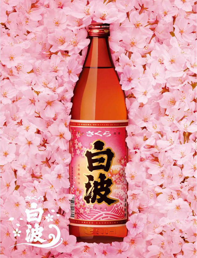 画像1: 白波に満開のさくら!フルーティーな本格芋焼酎『さくら白波』