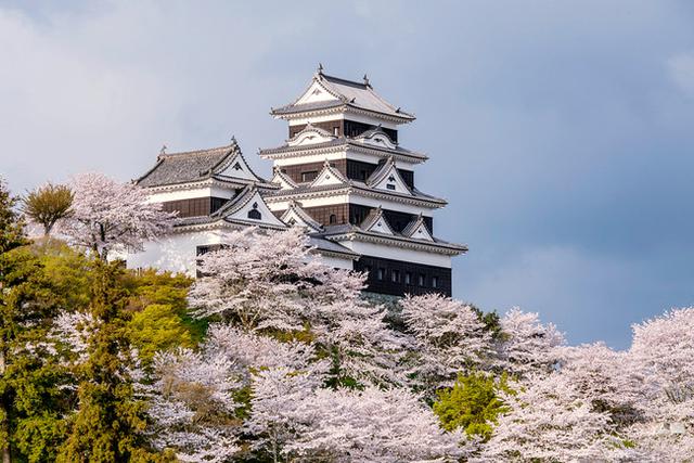 画像2: 春の桜旅 5つのおすすめポイント