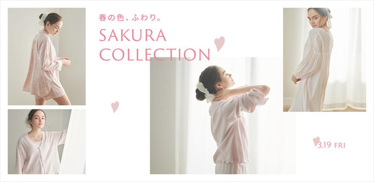 ジェラートピケ さくら ペタルモチーフサテン上下 Gelato Pique SAKURA FAIR ペタルモチーフサテンシャツ - メルカリ