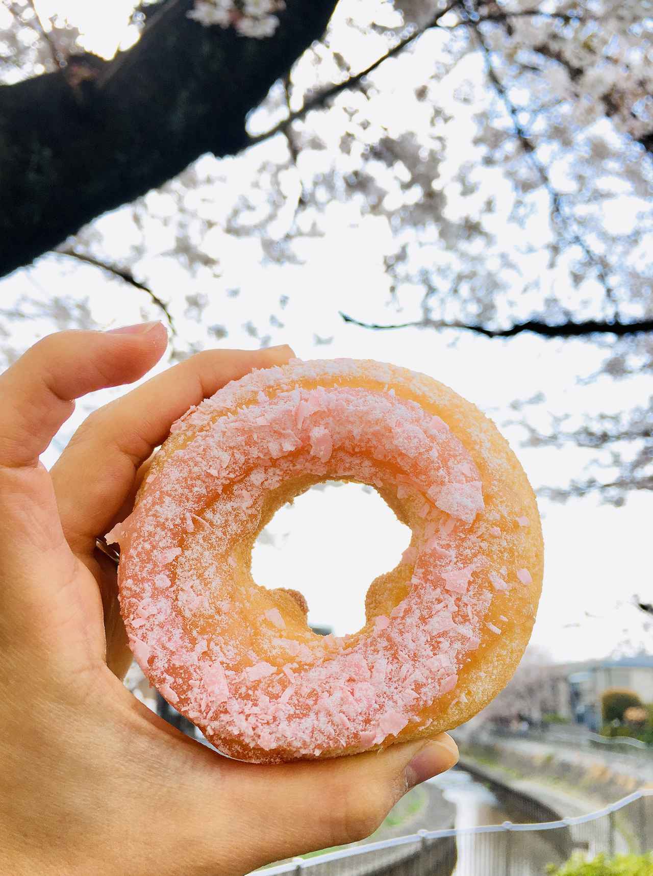 画像2: デリバリーやアプリ限定特典も！