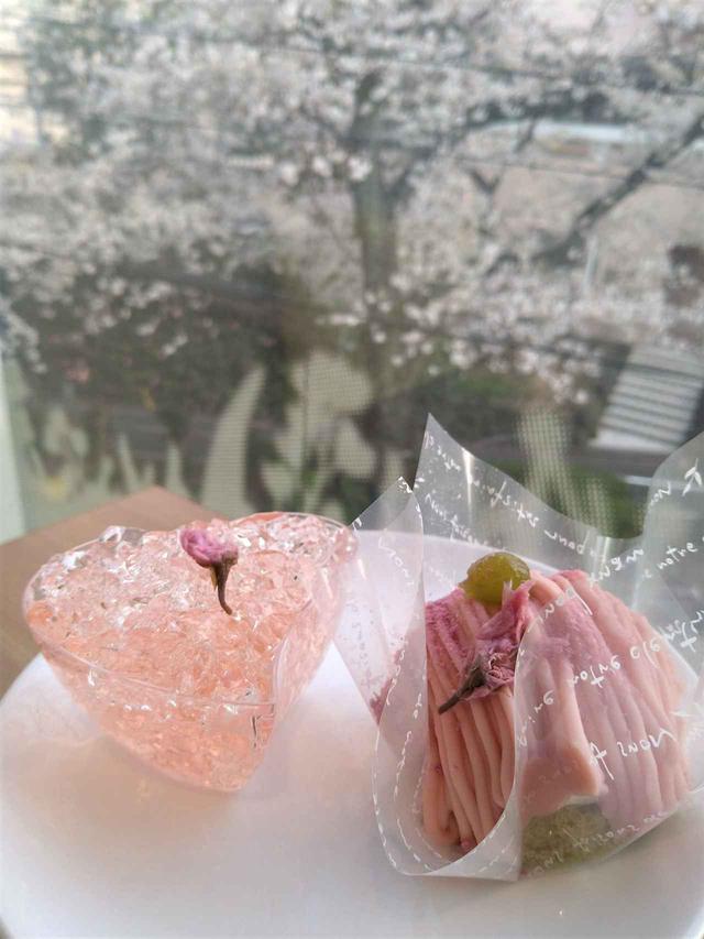 画像: スイーツカフェGOLGO 「お花見さくらスイーツset」SAKURA set ¥980(税込)