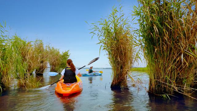 画像3: 【琵琶湖マリオットホテル】宿泊プラン「サイクリング&カヤックで琵琶湖の自然を探求」