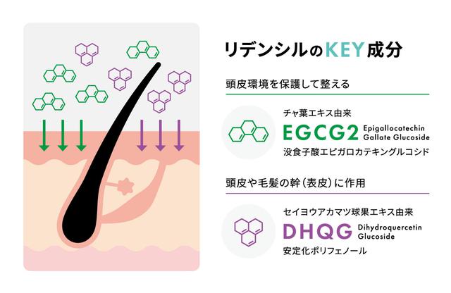 画像: 1.リデンシル(Redensyl®︎)*配合
