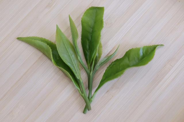 画像: 1.お茶本来の甘みとまろやかな口当たりが感じられる味わい