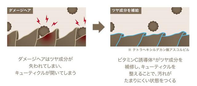 画像3: 髪に付着する汚れを防ぎ、洗い流しやすい状態を保つヘアケア「ShinkoQ」