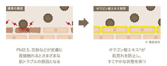 画像4: 髪に付着する汚れを防ぎ、洗い流しやすい状態を保つヘアケア「ShinkoQ」