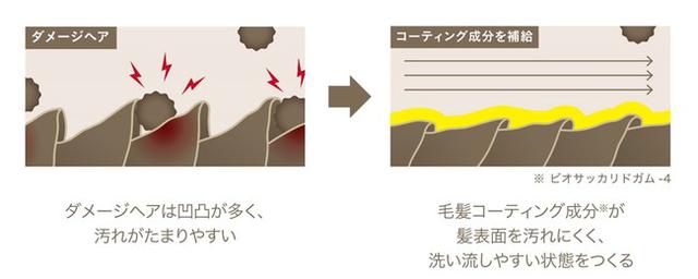 画像2: 髪に付着する汚れを防ぎ、洗い流しやすい状態を保つヘアケア「ShinkoQ」