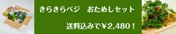 画像: 安心・安全な植物工場野菜　きらきらベジ　ネットショップ