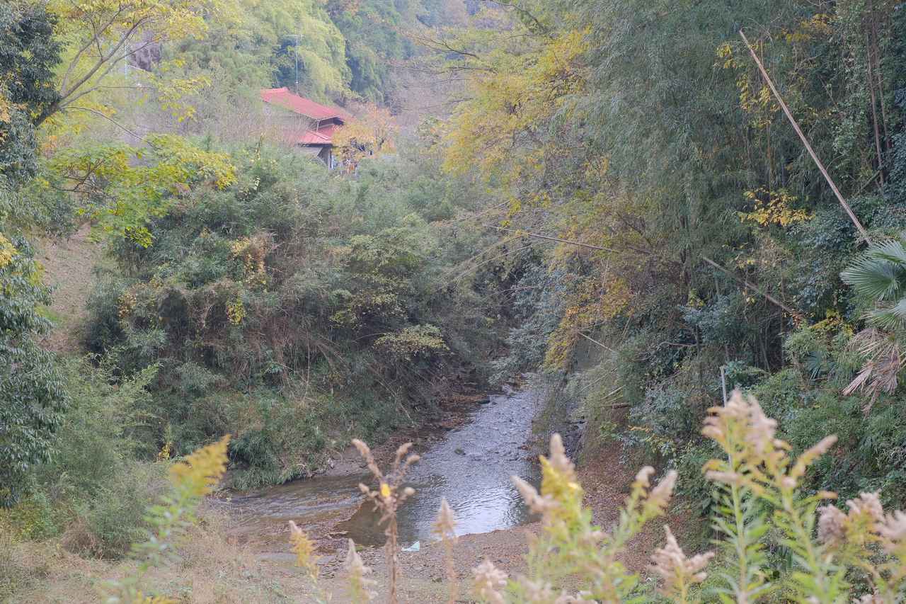 画像26: 【体験レポ】《前半》小湊鉄道で巡るアートイベント「房総里山芸術祭 いちはらアート×ミックス2020+」プレスツアー!