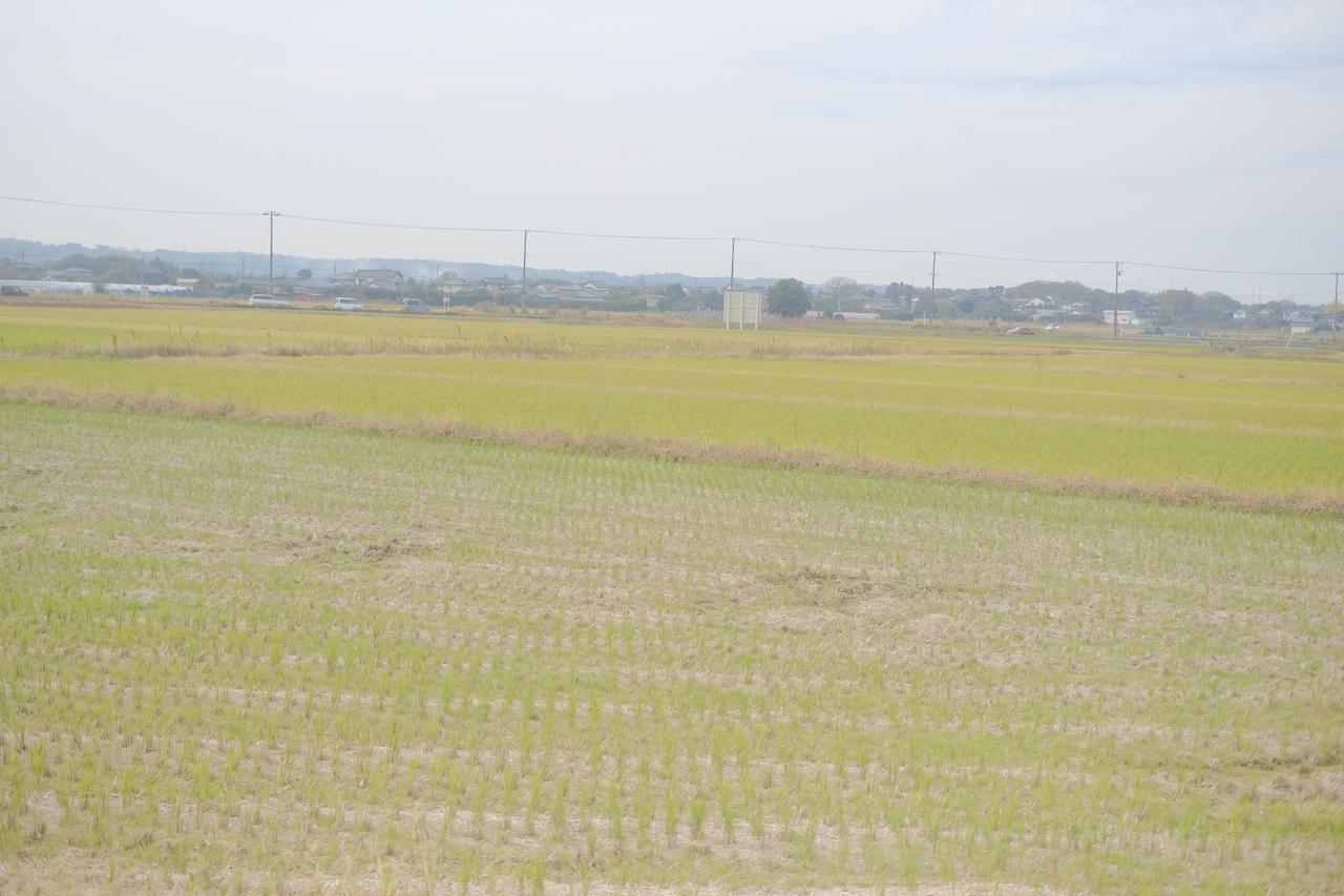 画像3: 【体験レポ】《前半》小湊鉄道で巡るアートイベント「房総里山芸術祭 いちはらアート×ミックス2020+」プレスツアー!
