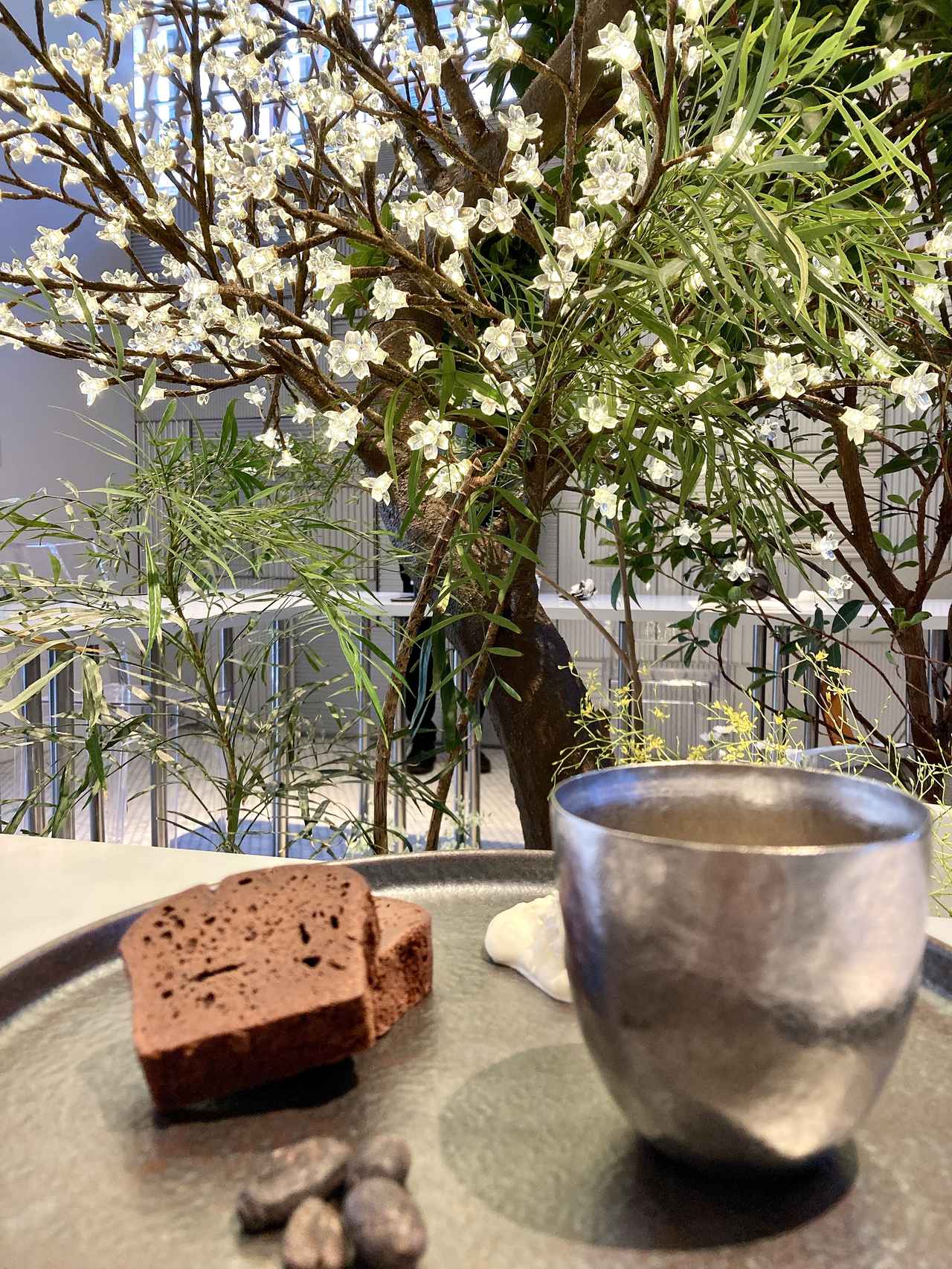 画像2: 一足早く、春を先取り