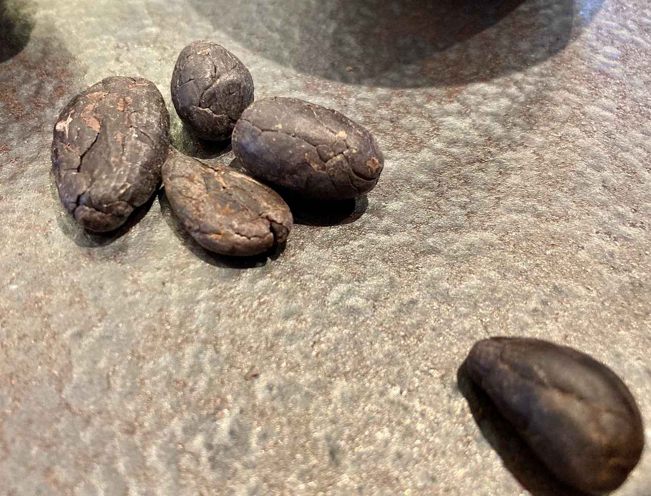 画像5: カカオのさまざまな表情を楽しむ、特別なBean to Bar体験