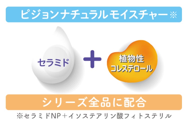 画像1: リニューアルポイント