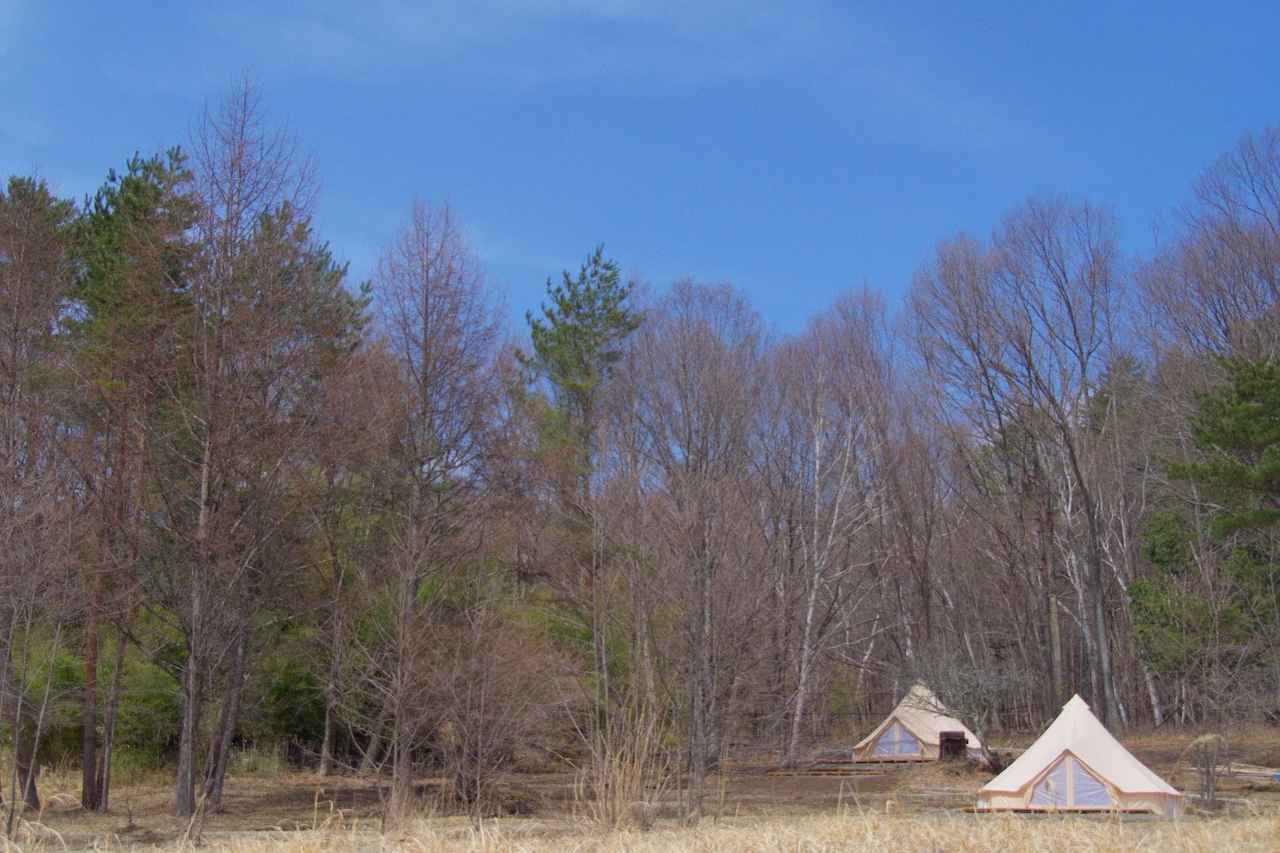 画像: グランピング・テントエリア 全景