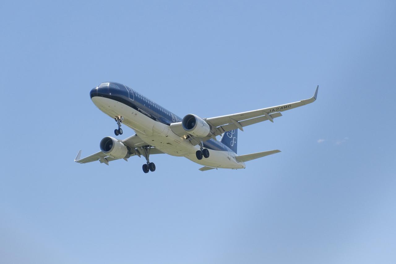 画像5: 【体験レポ①】飛行機もバスも宿泊もワンちゃんとずっと一緒♩「GO WITH わんこツアー」へ!