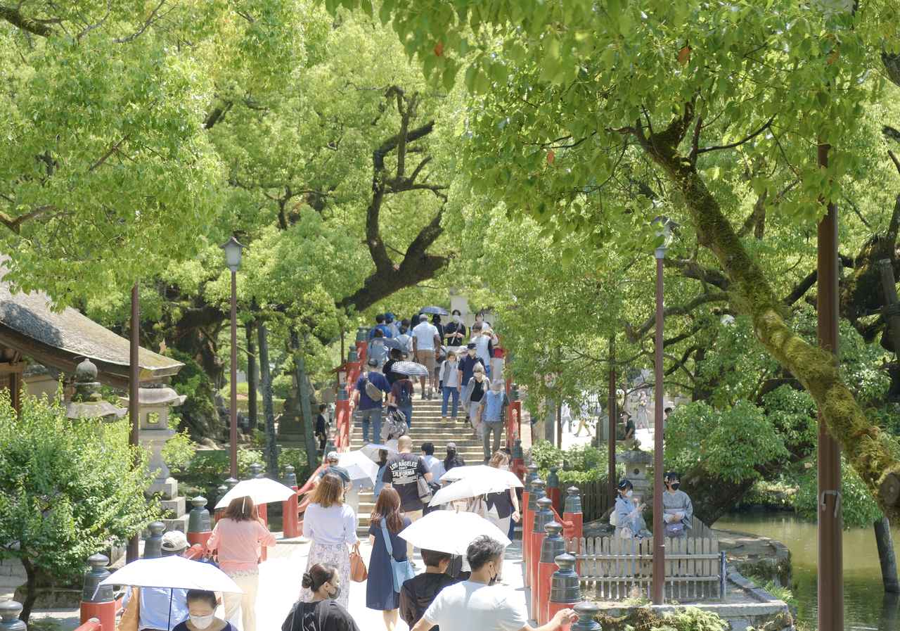 画像 : 6番目の画像 - 太宰府天満宮 - カワコレメディア
