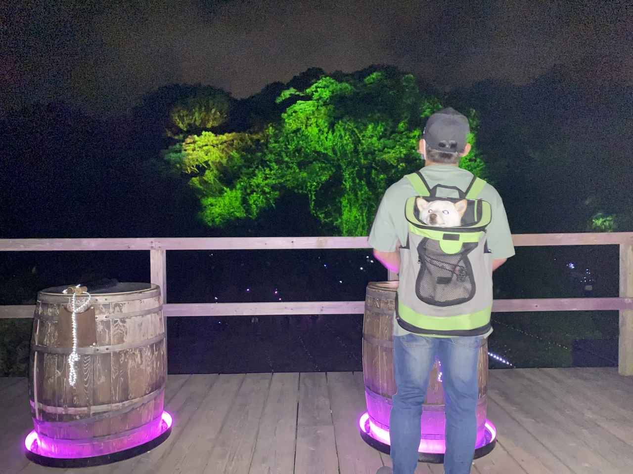 画像5: ●ISLAND LUMINA(アイランドルミナ)へ