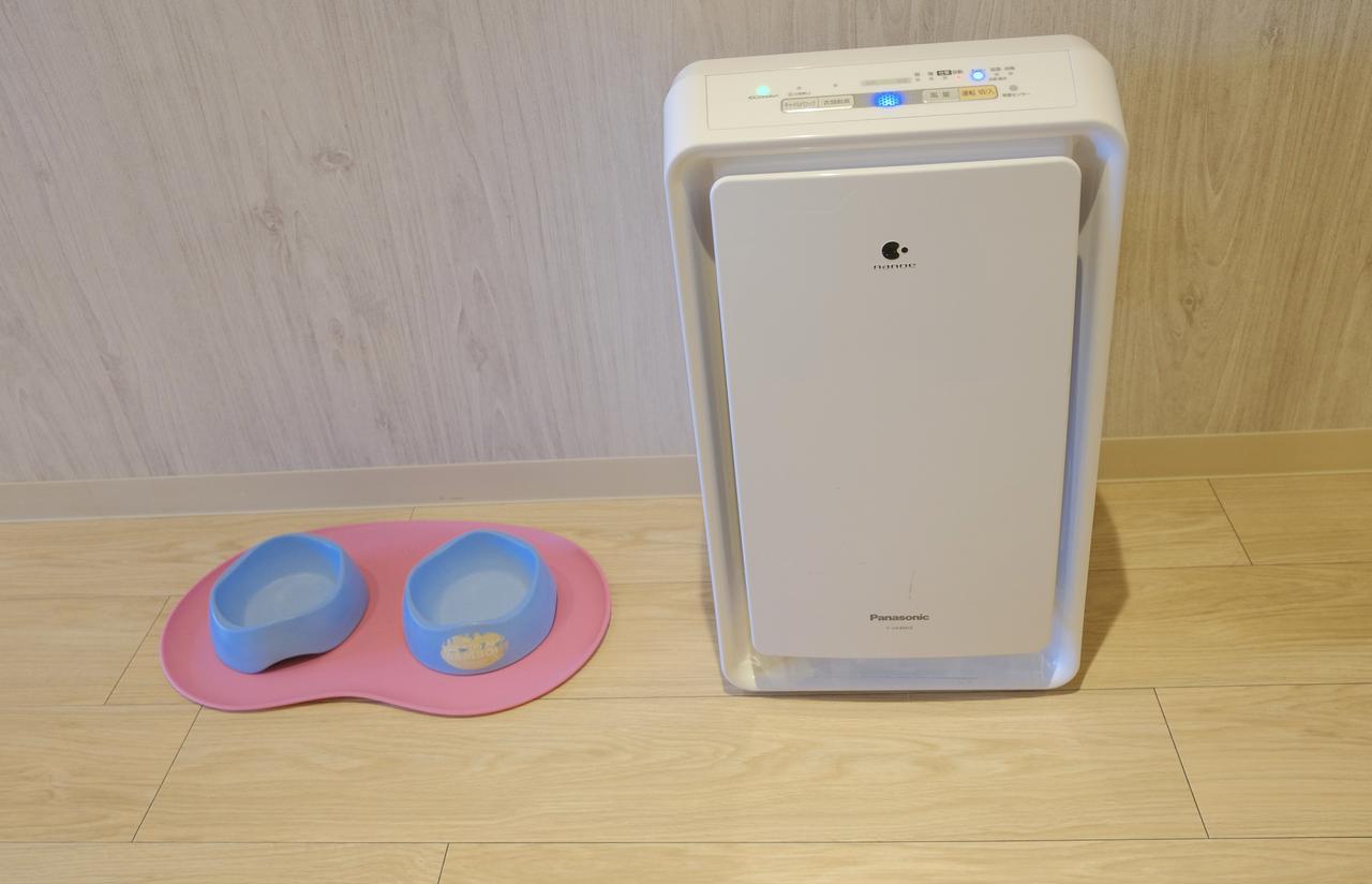 画像11: 【体験レポ①】飛行機もバスも宿泊もワンちゃんとずっと一緒♩「GO WITH わんこツアー」へ!