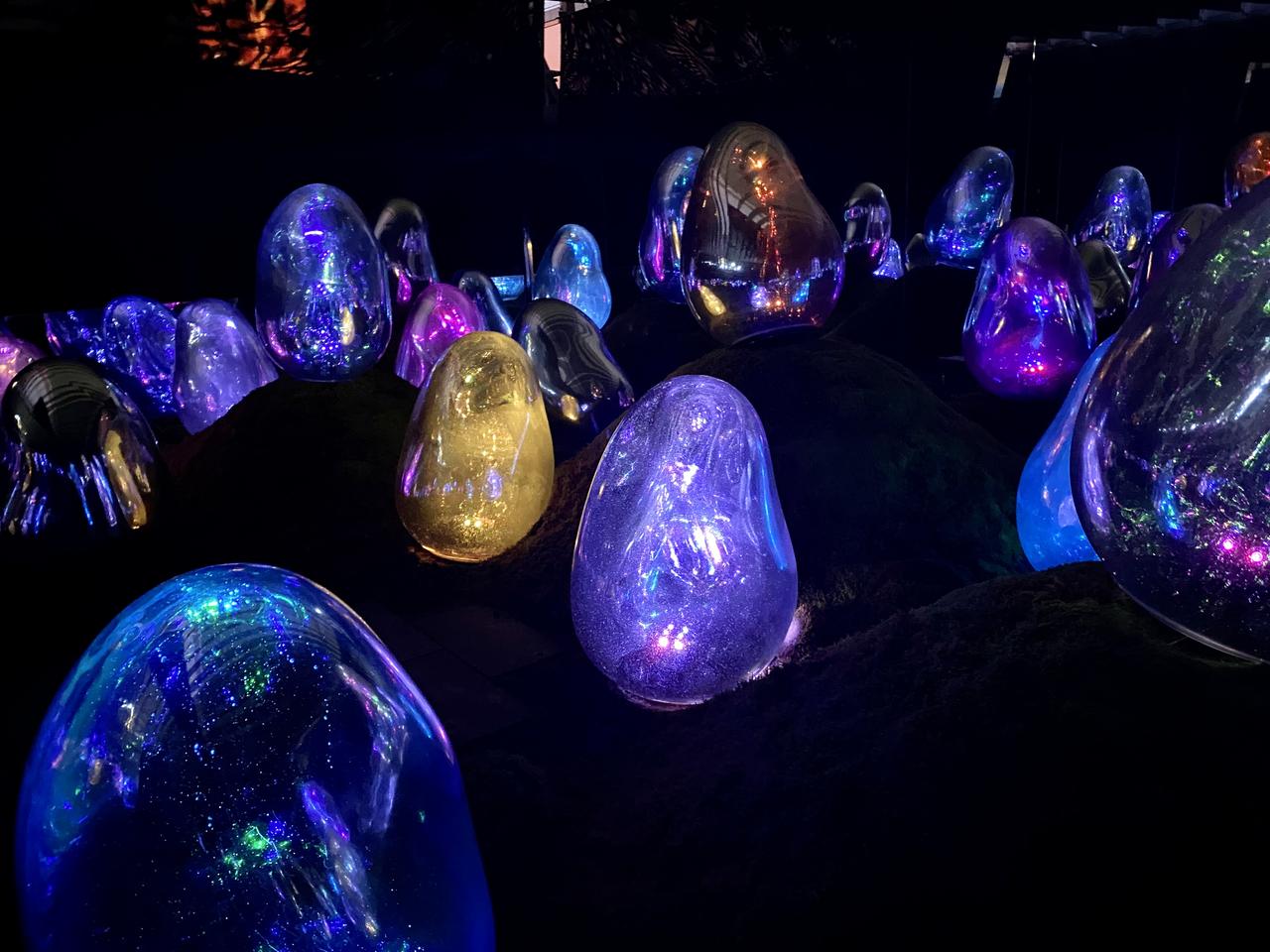 画像4: 「Floating in the Falling Universe of Flowers」