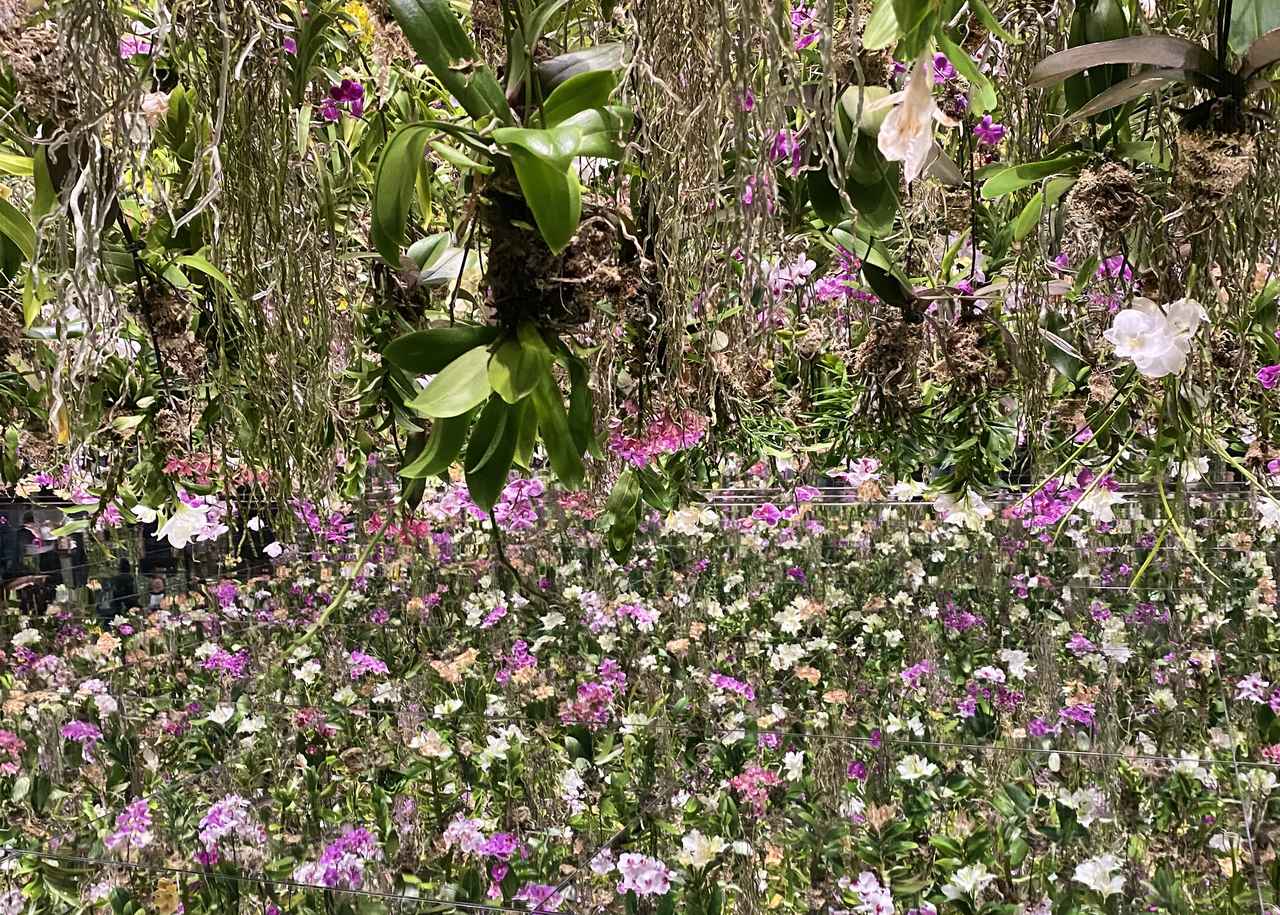 画像2: 「Floating in the Falling Universe of Flowers」