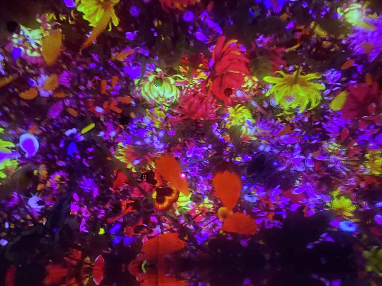 画像1: 「Floating in the Falling Universe of Flowers」