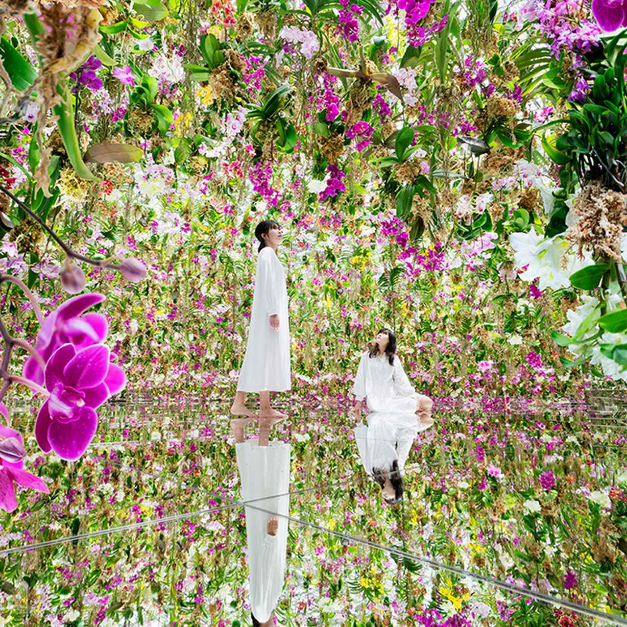 画像: チームラボプラネッツ TOKYO 豊洲 公式チケットストア - 入場チケットの販売