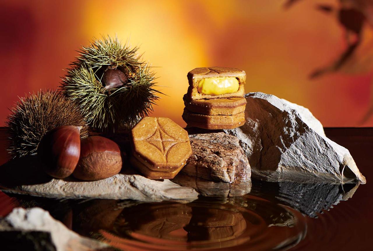 画像: 茨城県産の和栗を使用した、ほっくり上品な甘み感じる新フレーバー商品が登場! 「和バターサンド〈和栗〉」 2022年9月5日(月)より期間限定販売 | バターサンド専門店 PRESS BUTTER SAND