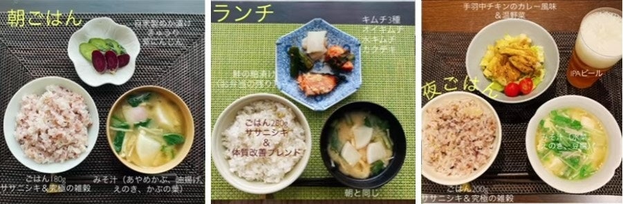 画像: (1日3食の一例)