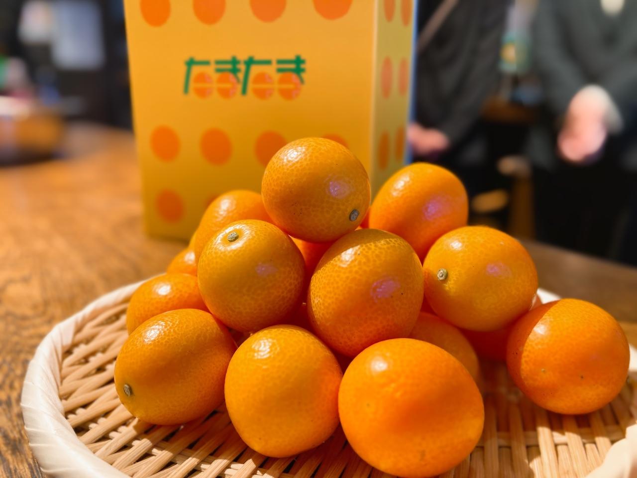 画像11: 日本最高峰の和牛、「宮崎牛」も食べられる!