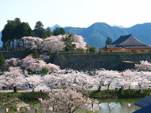 画像2: 予約受付がスタート！3月18日(土)から4月28日(金)までの春期限定で販売