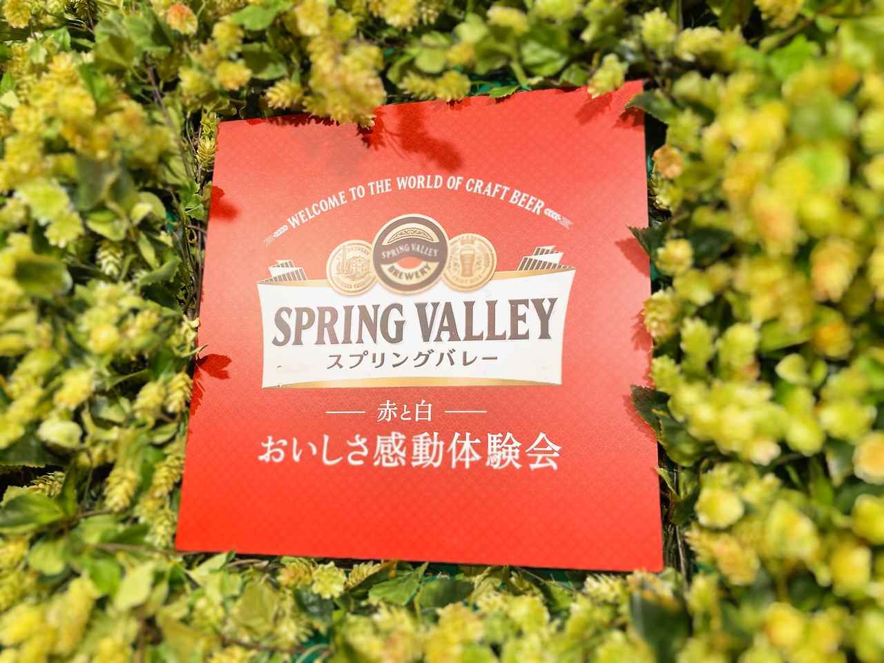 画像1: 楽しみ方無限大！スプリングバレー×コースメニューのペアリング❤︎