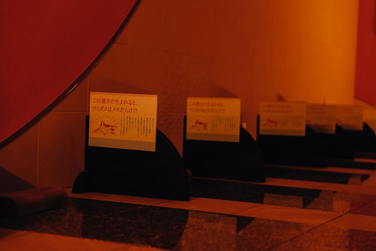 画像7: 海の生き物の"暑さ"を体感できる「海とつながるサウナ」ついにその全貌が明らかに！