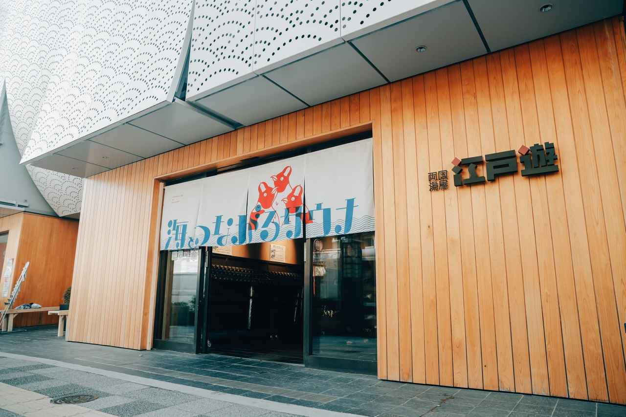 画像9: 海の生き物の"暑さ"を体感できる「海とつながるサウナ」ついにその全貌が明らかに！