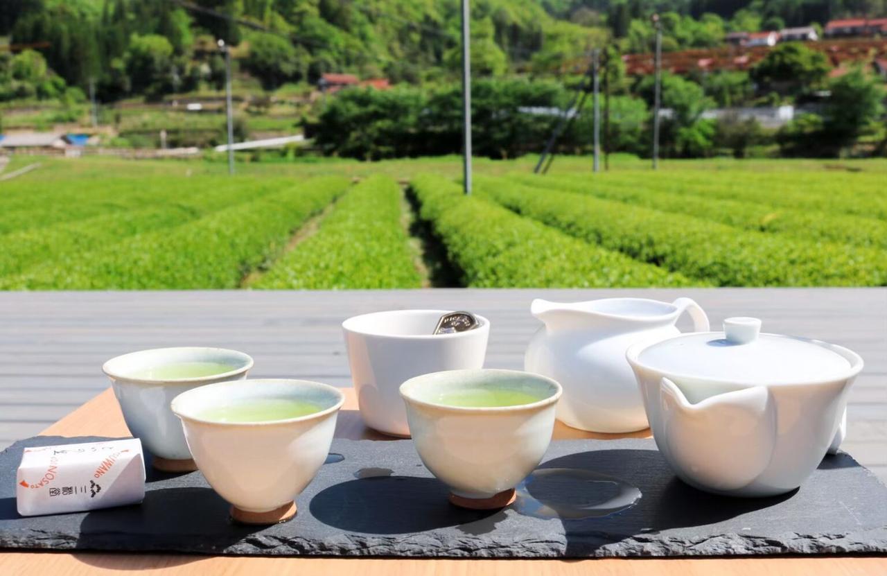 画像2: 地元名産の「まめ茶」を味わう、煎茶体験