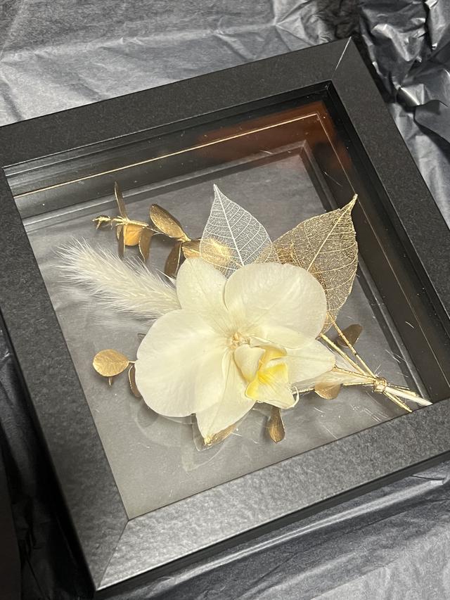 【美品】The iTTO SS 胡蝶蘭 プリザーブドフラワー インテリア ギフト 美品】The iTTO SS 胡蝶蘭 プリザーブドフラワー インテリア