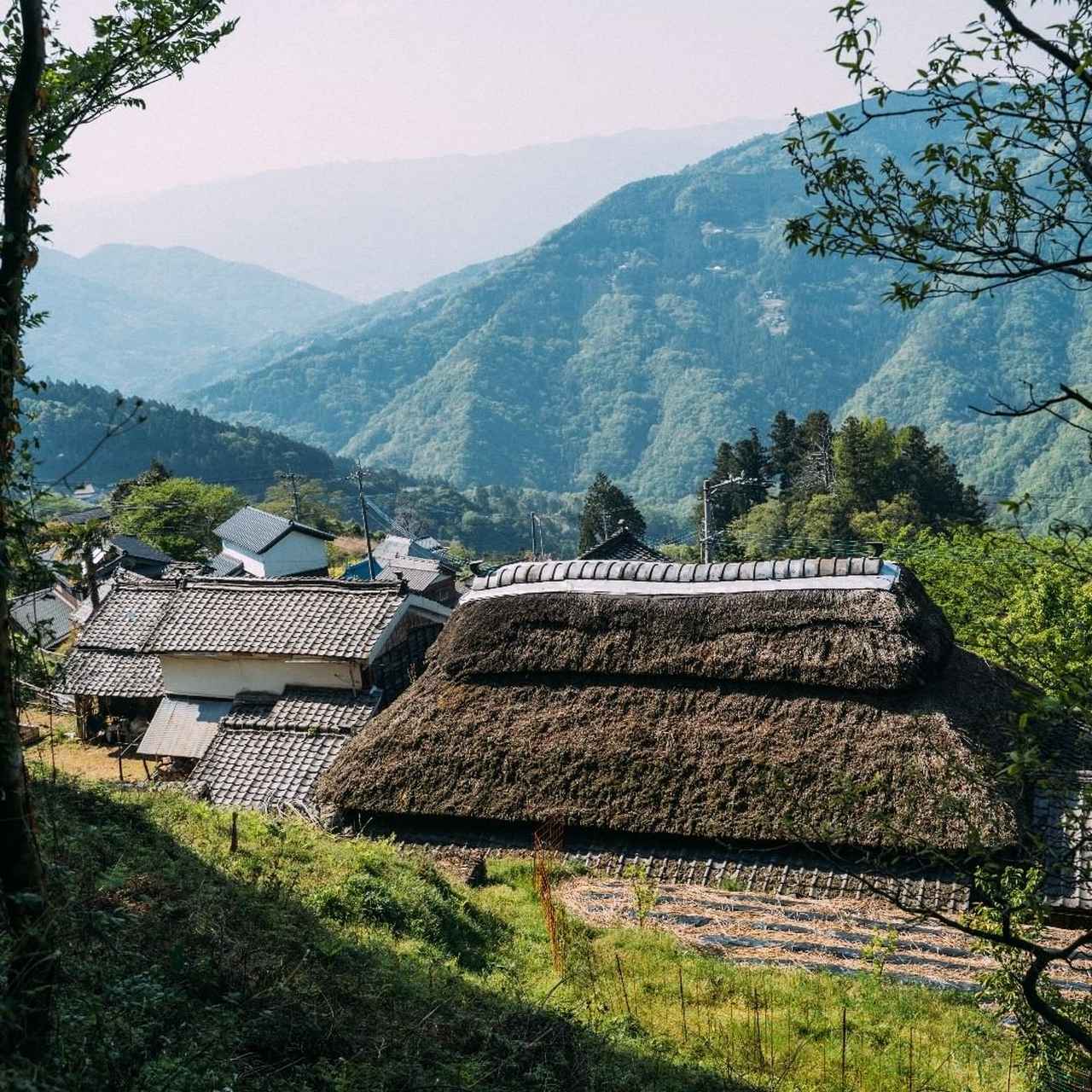 画像: にし阿波の傾斜地農耕システム