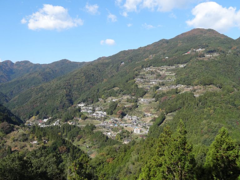 画像1: 世界農業遺産認定【にし阿波】 でゆず収穫体験