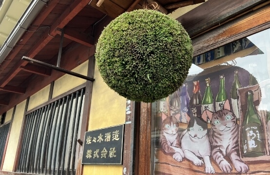 画像: 【美と健康対談】俳優・ヨガインストラクター 内山理名さん×京都洛中「佐々木酒造」佐々木晃社長のスペシャルトークショー