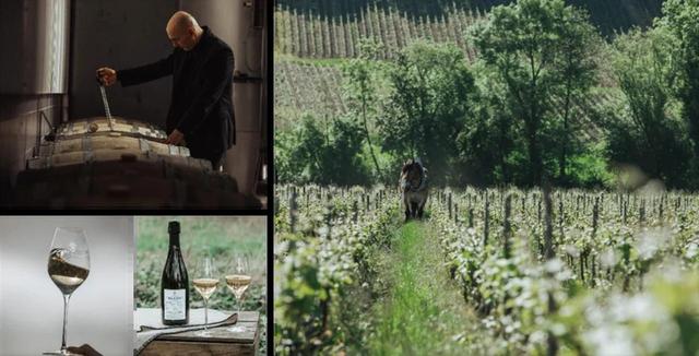 画像2: 環境プロジェクト「母なる自然の名のもとに(In the name of Mother Nature)」