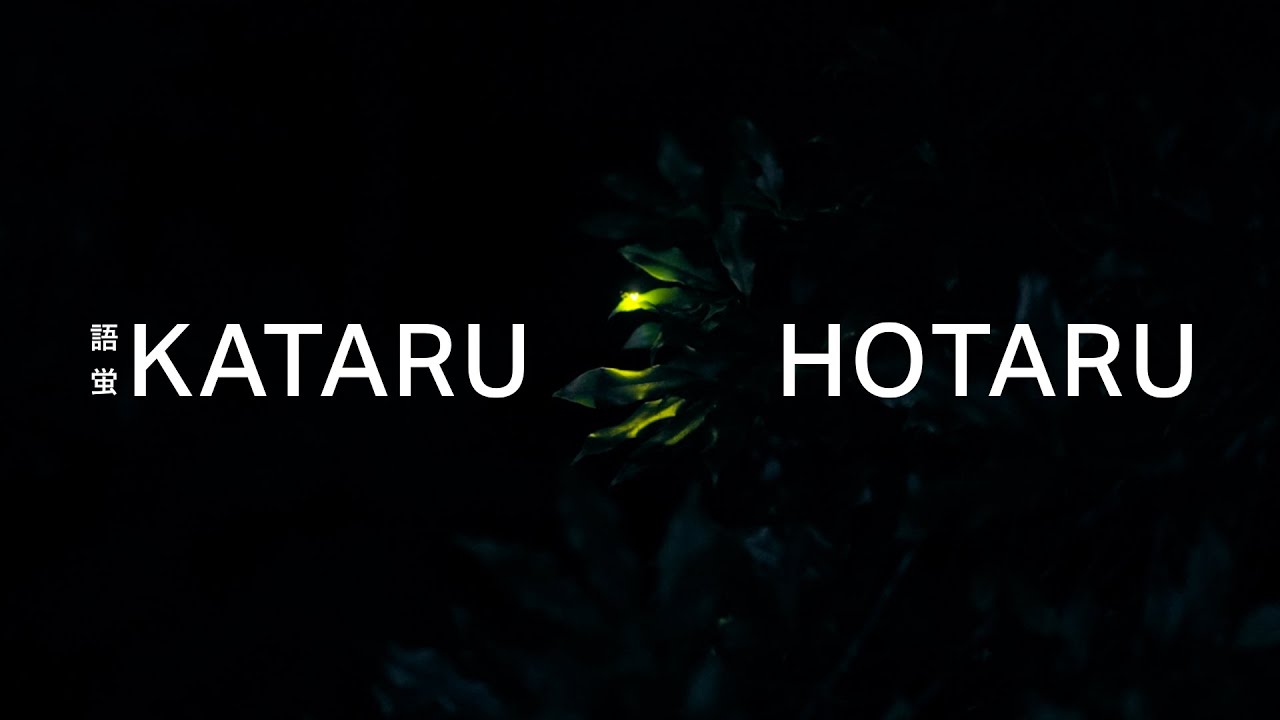 画像: 語蛍｜KATARU HOTARU www.youtube.com