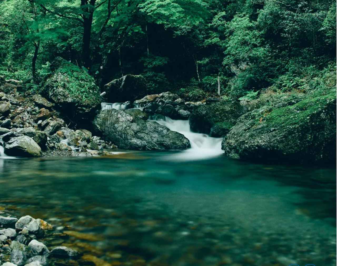 画像8: 水が主役!？ミシュラン獲得 広尾のモダンベトナミーズ【Ăn Cơm】で『ホタルが認めた水のコース』