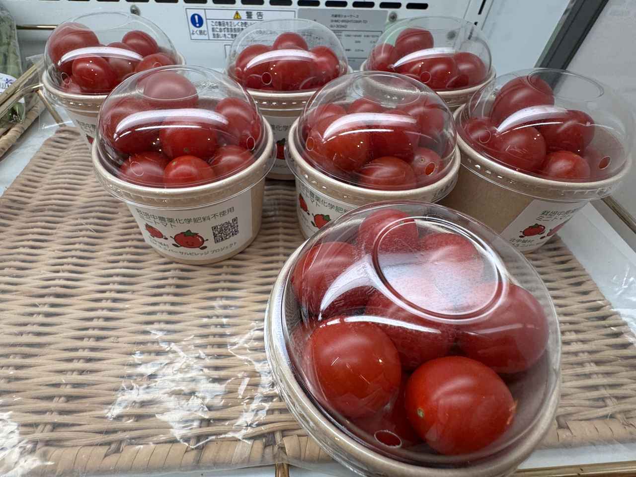 画像 : 9番目の画像 - 「沖縄の新たな魅力を体験♡地域と過ごす旅「エシカルトラベルオキナワ」《前篇》」のアルバム - カワコレメディア