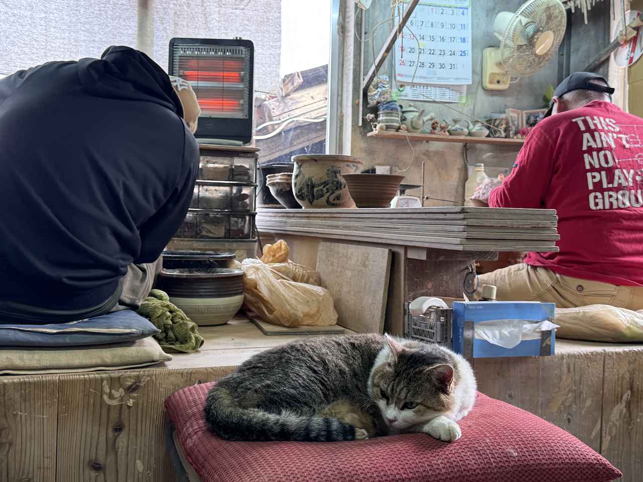 画像 : 14番目の画像 - 「沖縄の新たな魅力を体験♡地域と過ごす旅「エシカルトラベルオキナワ」《後編》」のアルバム - カワコレメディア