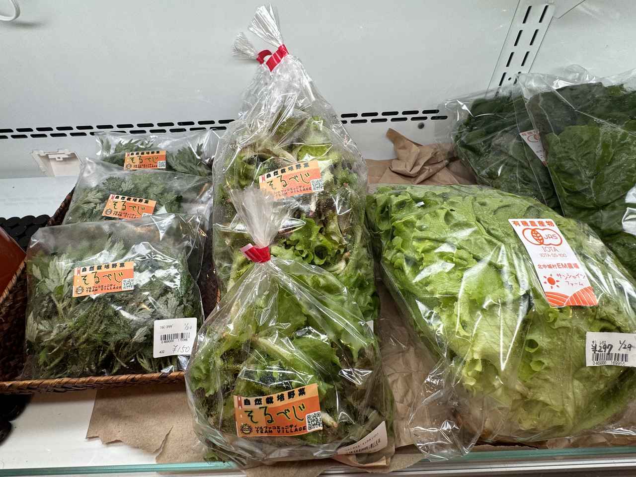 画像 : 7番目の画像 - 「沖縄の新たな魅力を体験♡地域と過ごす旅「エシカルトラベルオキナワ」《前篇》」のアルバム - カワコレメディア