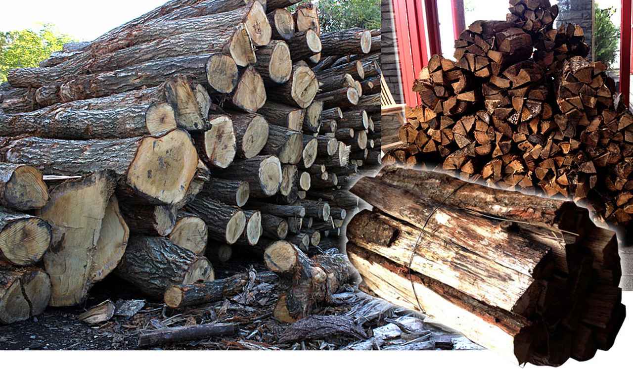 画像3: 職人が焼き上げる！本格ナポリピザの秘密